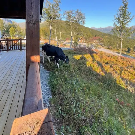 Awesome In With Wifi Tatil Evi Hornindal