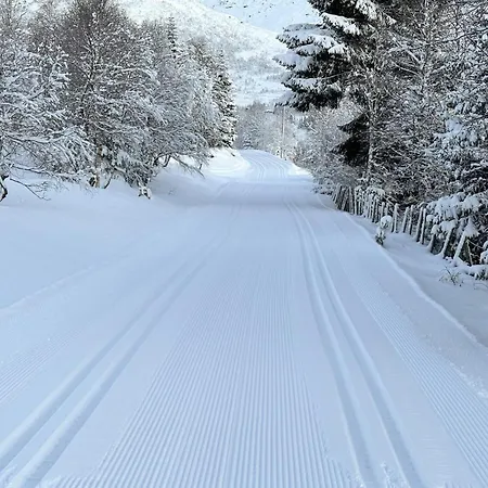 Holiday home Awesome In With Wifi Hornindal